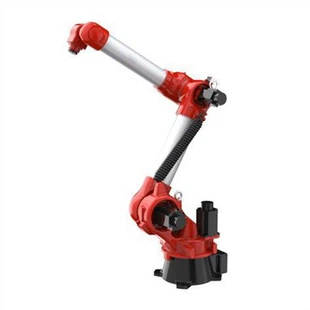 Robot di stampaggio RBR610